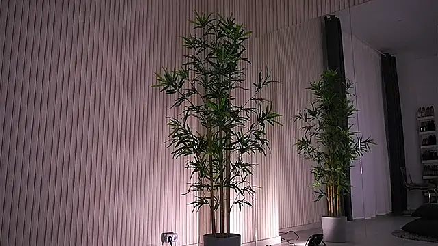 Abbela White online show from 01.23.25