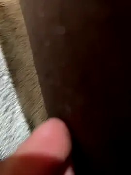 la chiennete online show from 11.18.25