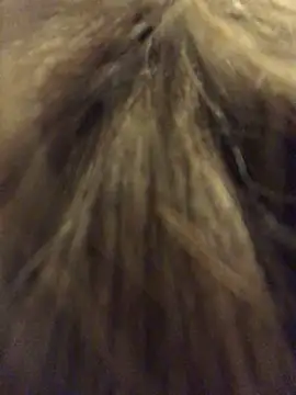  Sweet Love  online show from 03.29.26