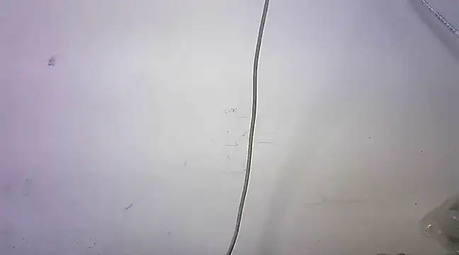 Snapshot of mrose8080 chatting on 03.06.25 mrose8080 online show from 03.06.25