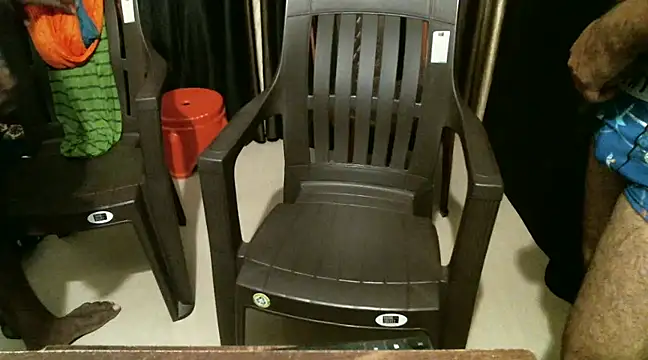 indian2 online show from 12.21.24