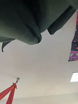 Terrafirma online show from 01.27.25