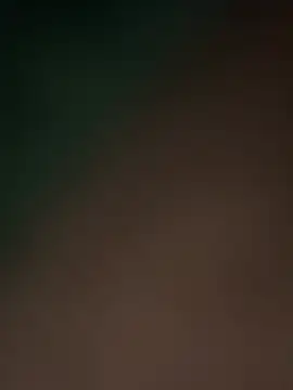 Terrafirma online show from 02.16.25