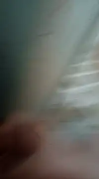 Snapshot of Sexis26 chatting on 03.15.25 Sexis26 online show from 03.15.25