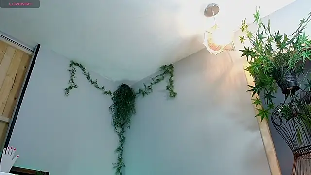 VickyJackson  online show from 01.21.25