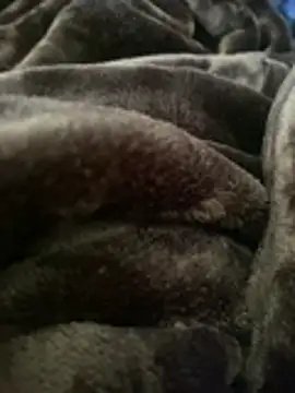 Snapshot of ft2022W chatting on 03.07.26 ft2022W online show from 03.07.26