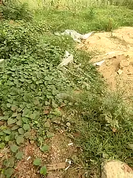 Snapshot of COUPLLE_VILLAGE chatting on 05.19.26 COUPLLE VILLAGE online show from 05.19.26