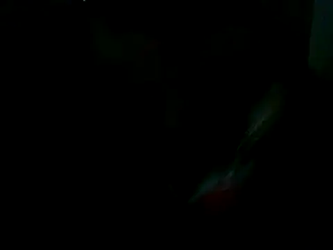 Yardie bone online show from 03.03.25