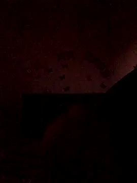 The wickles 4443 online show from 11.22.25