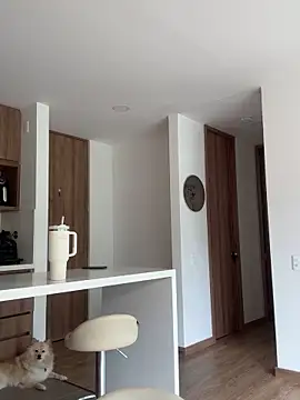 Snapshot of Helenbronwx chatting on 12.20.24 Helenbronwx online show from 12.20.24