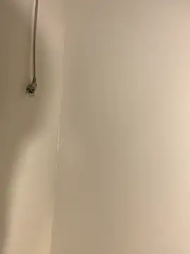 Aania online show from 11.01.25