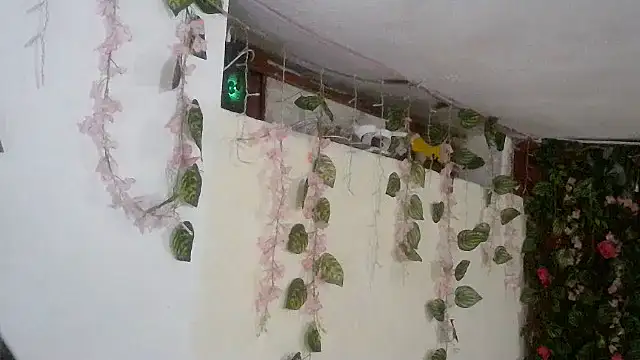 Snapshot of emmafox_ls chatting on 11.02.25 emmafox ls online show from 11.02.25