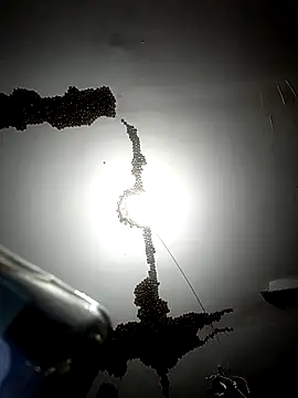 ColdVisitor online show from 02.06.26