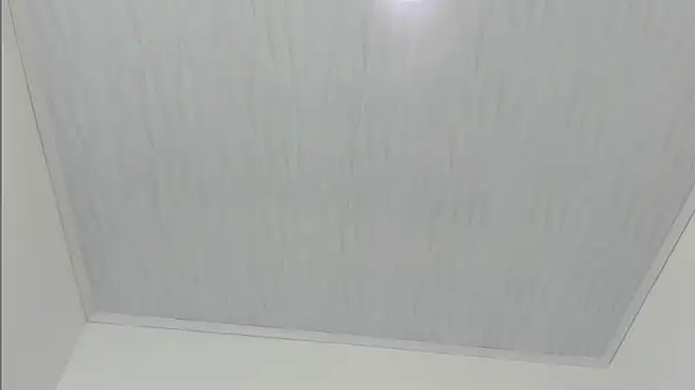 Snapshot of merlyna_goldens chatting on 11.22.25 merlyna goldens online show from 11.22.25