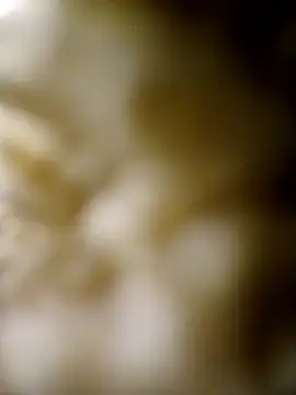 Snapshot of JObuddy661 chatting on 01.16.26 JObuddy661 online show from 01.16.26