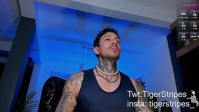 TigerStripes1  online show from 02.09.25