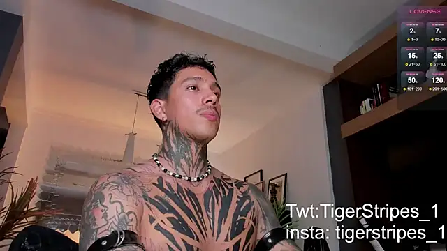 TigerStripes1  online show from 02.22.25