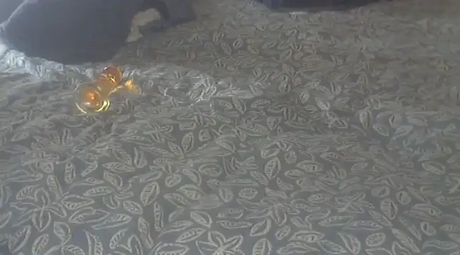 michaelknight101 online show from 12.15.24