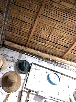 kvr27 online show from 11.03.25