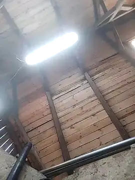 lotrando54 online show from 12.29.24