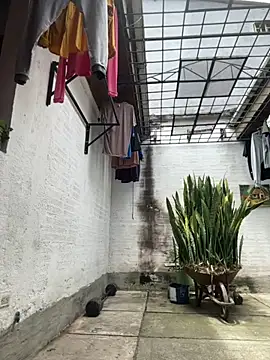 oliver price1 online show from 09.10.25