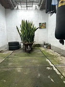 oliver price1 online show from 11.16.25