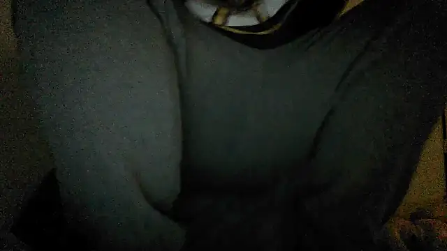 Snapshot of GeilerBull chatting on 11.12.25 GeilerBull online show from 11.12.25