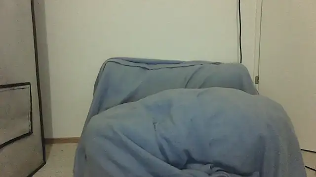 Snapshot of GeilerBull chatting on 11.12.25 GeilerBull online show from 11.12.25